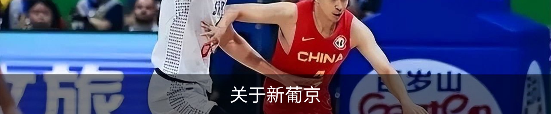 关于新葡京