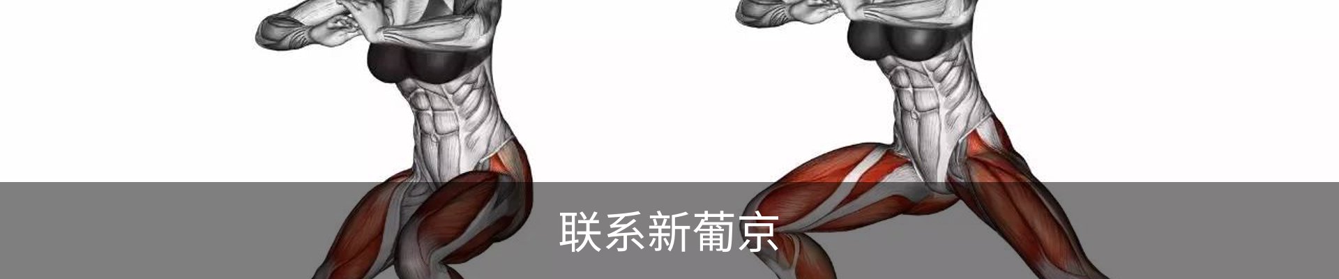联系新葡京